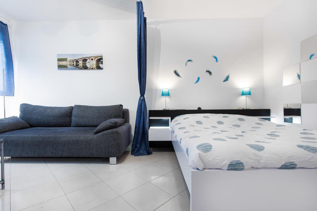 Ancely Studio Aséptisé Appartement Toulouse